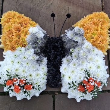 6e72b84b-2cf6-44bf-a7bd-f00bb474bb6f